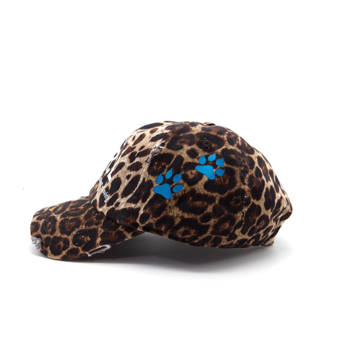 Modest Jag’s G.I.R.L PHLAIR